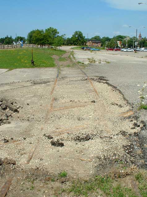 CNR-4