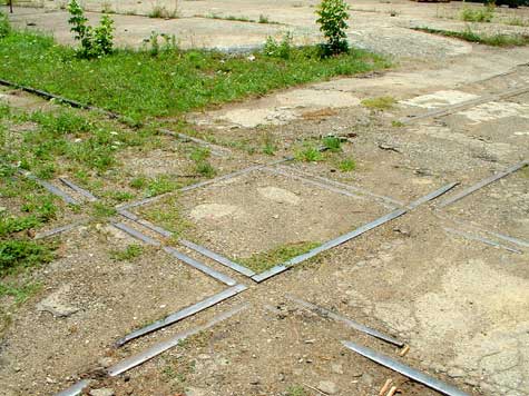 CNR-7