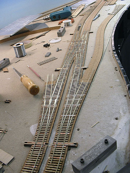 New-section_1.jpg