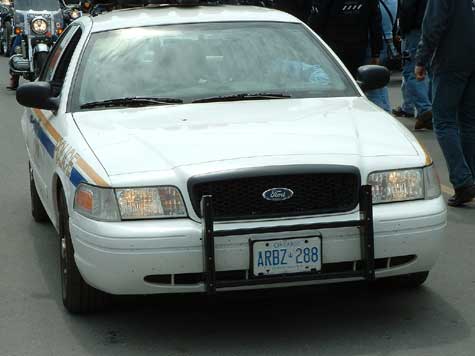 PD-34.jpg