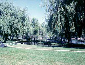 deltasia-2.jpg
