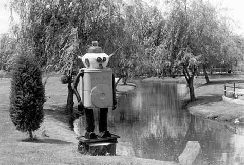 deltasia-3.jpg