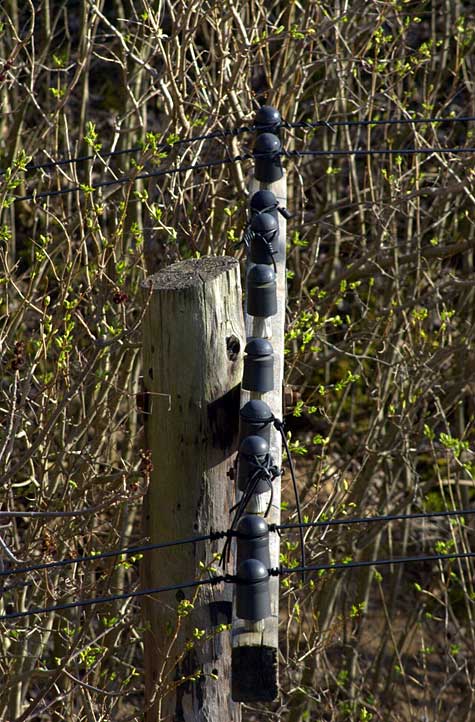 Pole