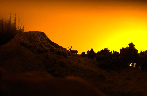 Sun