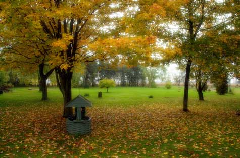 Ontario fall