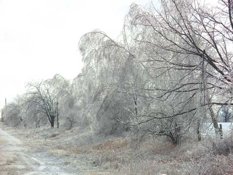 Frosty!